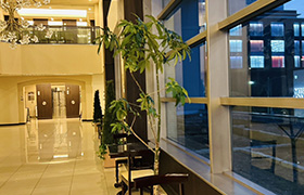 【手動表示】photo17