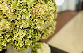 【手動表示】photo18